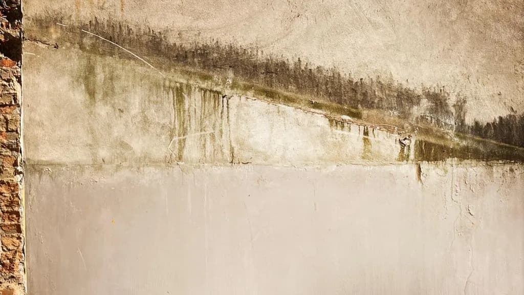 Scars of Memory III