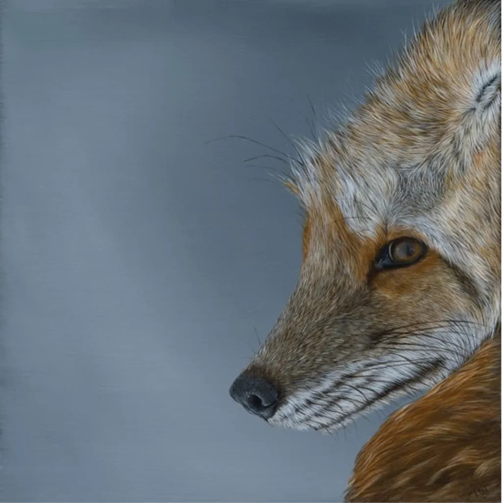 Quiet Gaze