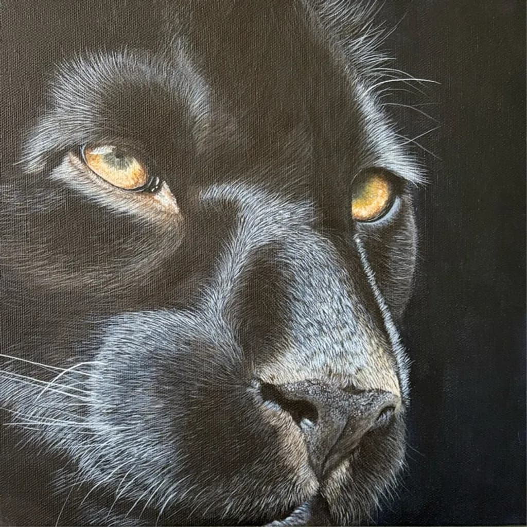 Wild Gaze