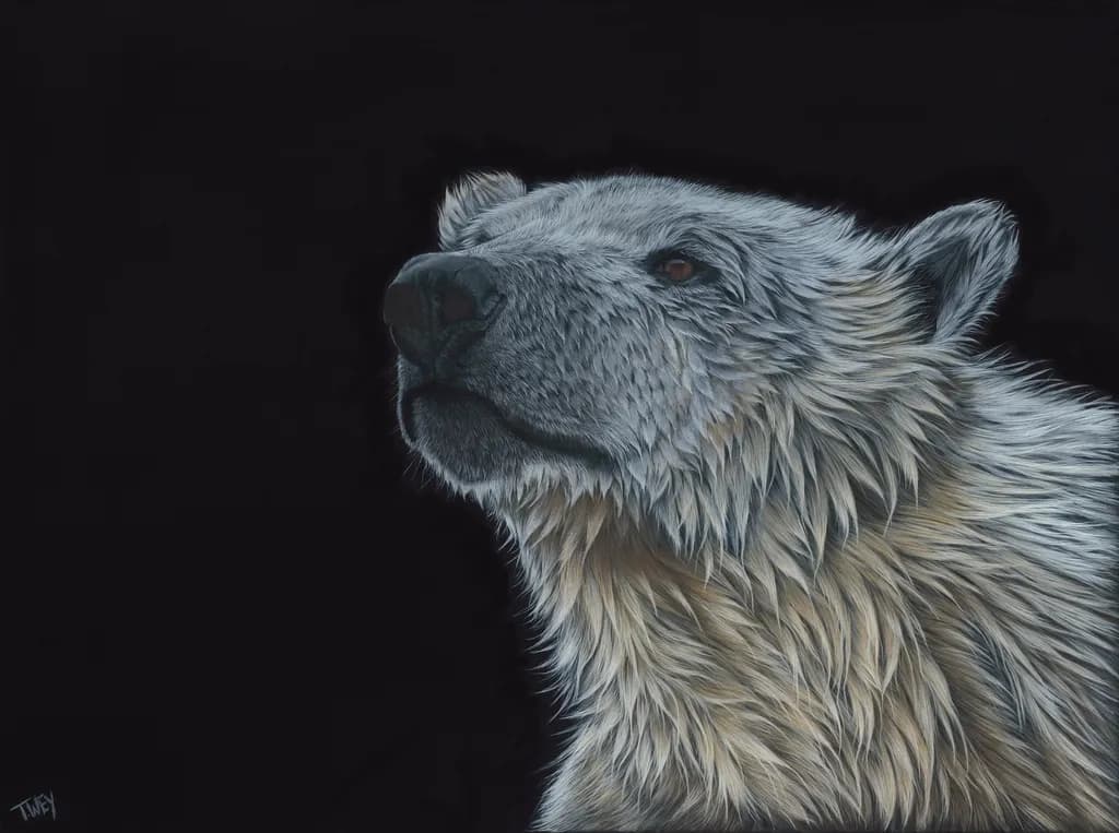 Gaze of the Polar Bear