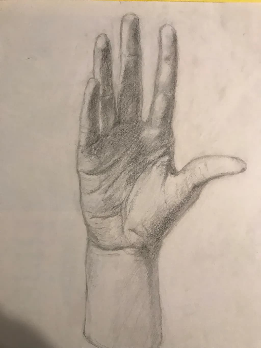 Open Palm Study