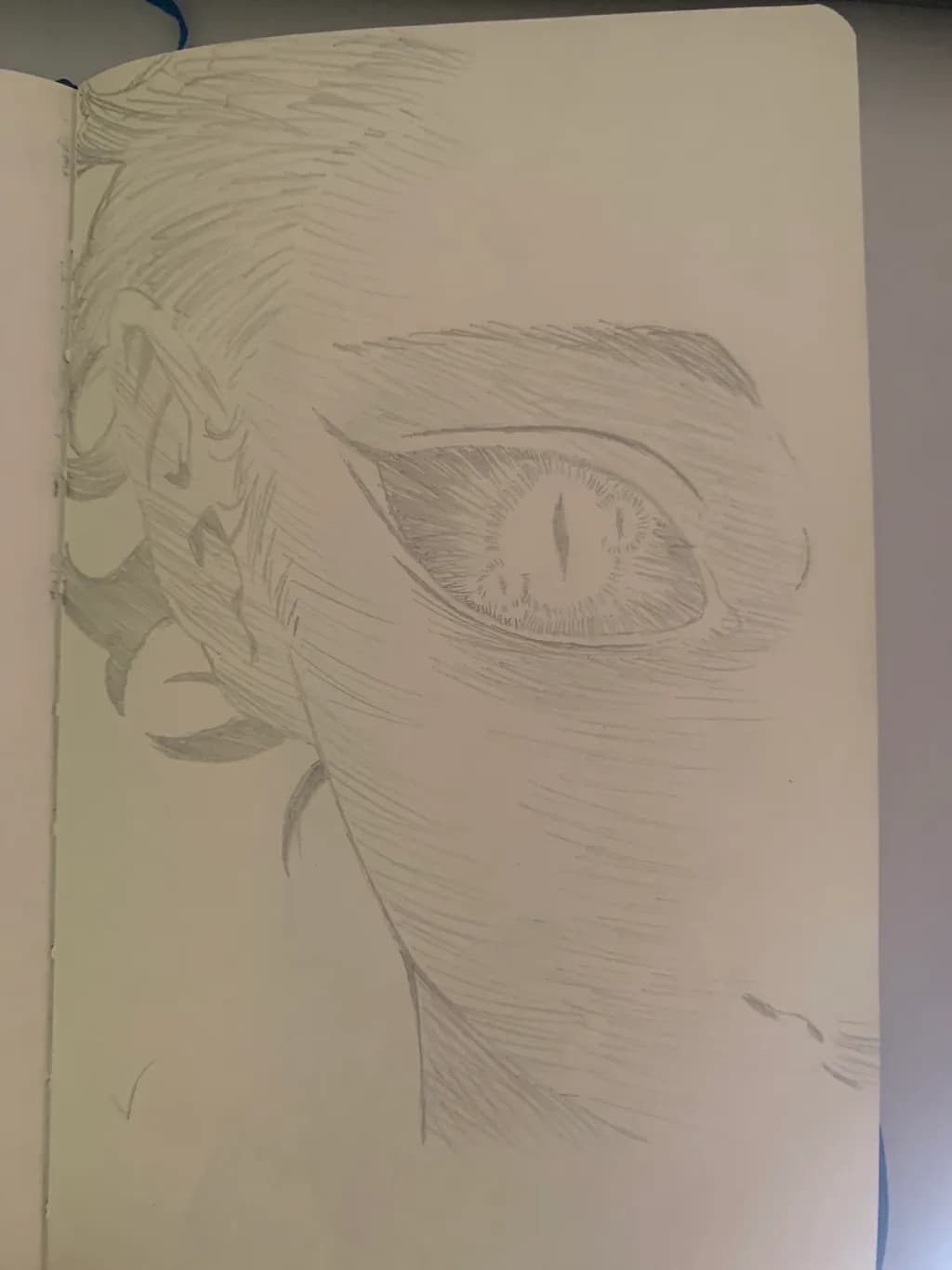 Cat's Gaze