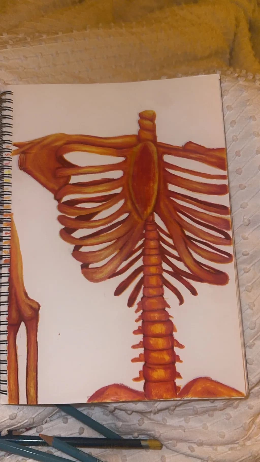 Crimson Ribcage