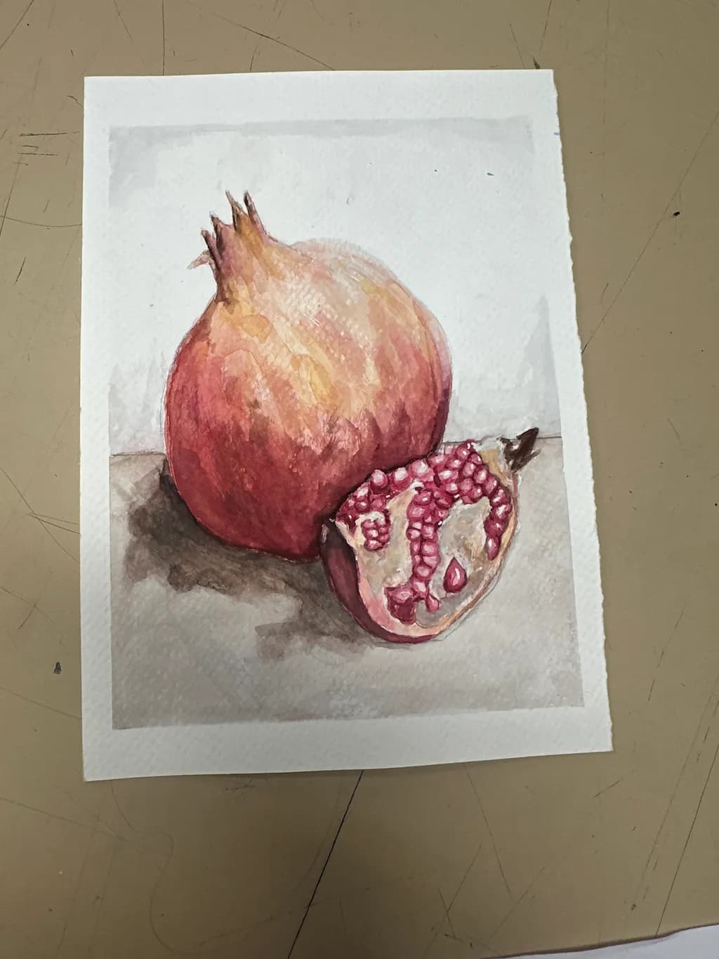 Pomegranate Study