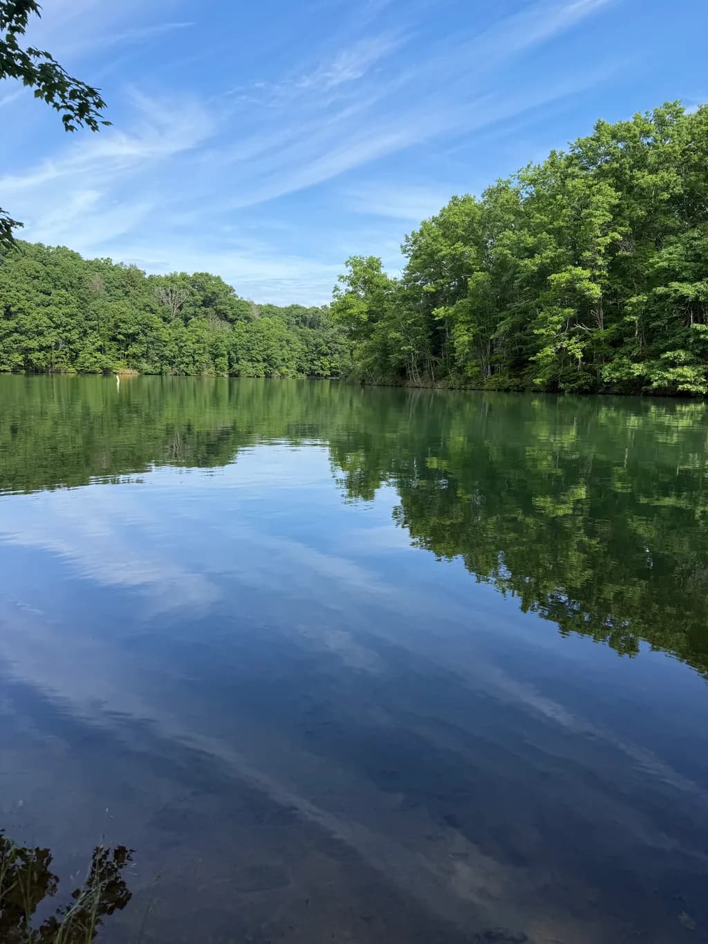 Quiet Reflection