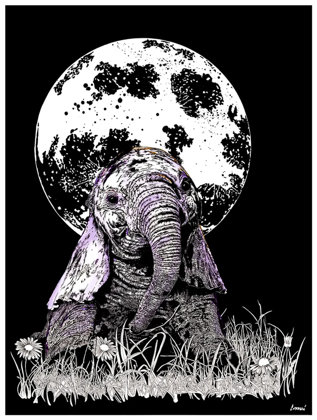 Baby Elephant Moonlight