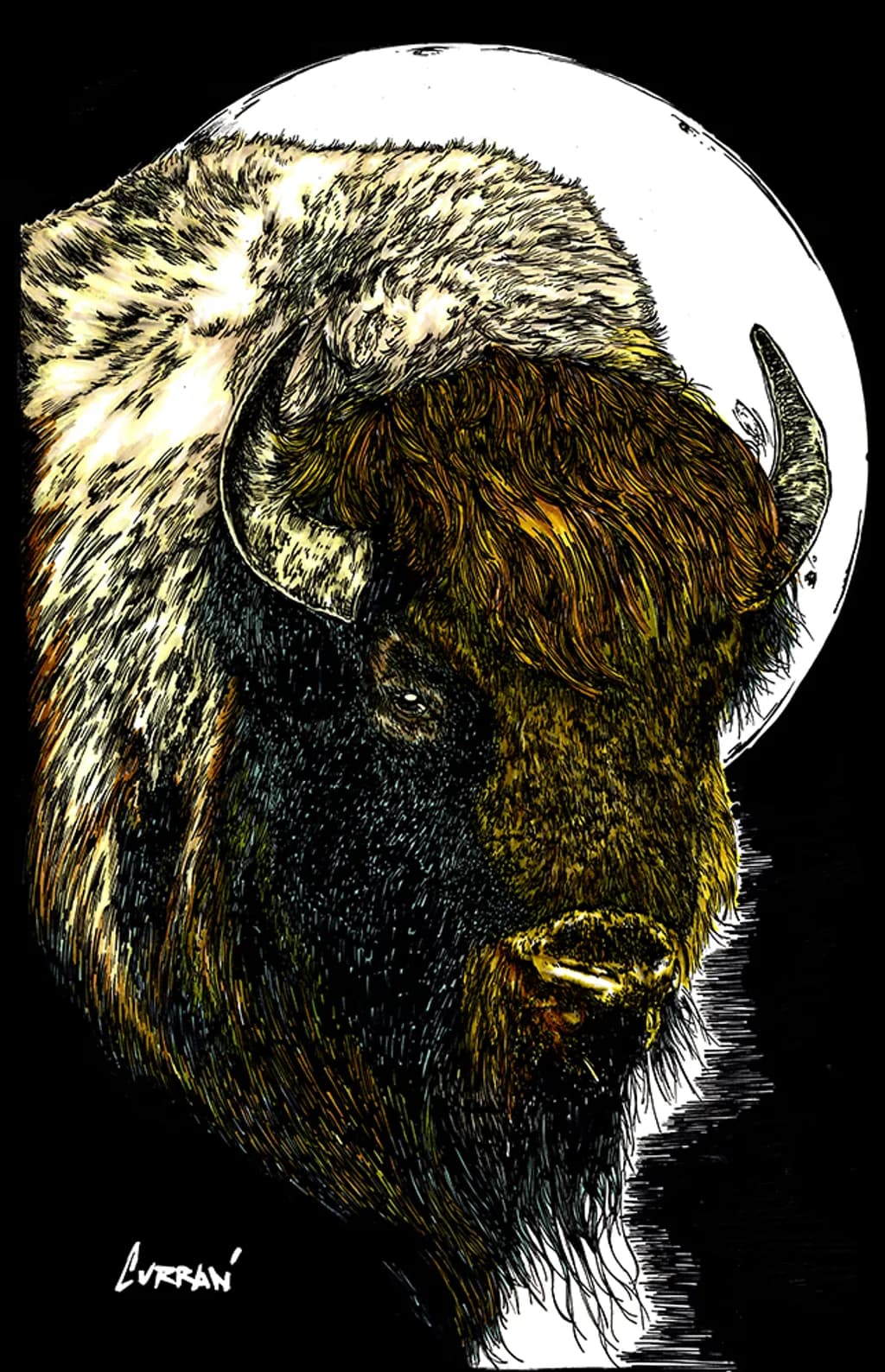 Bison Moonlight
