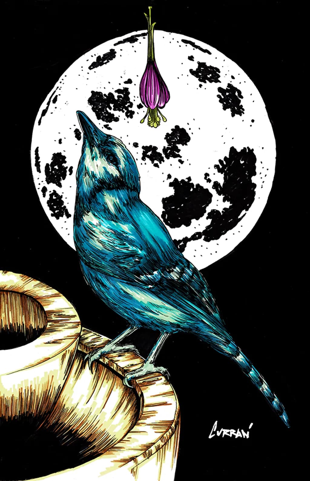 Blue Jay Moon