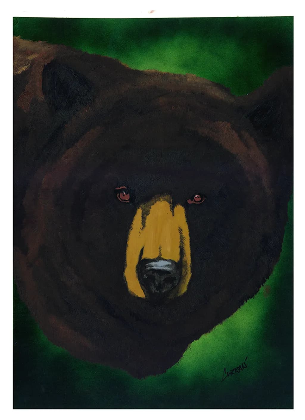 Brown Bear Gaze