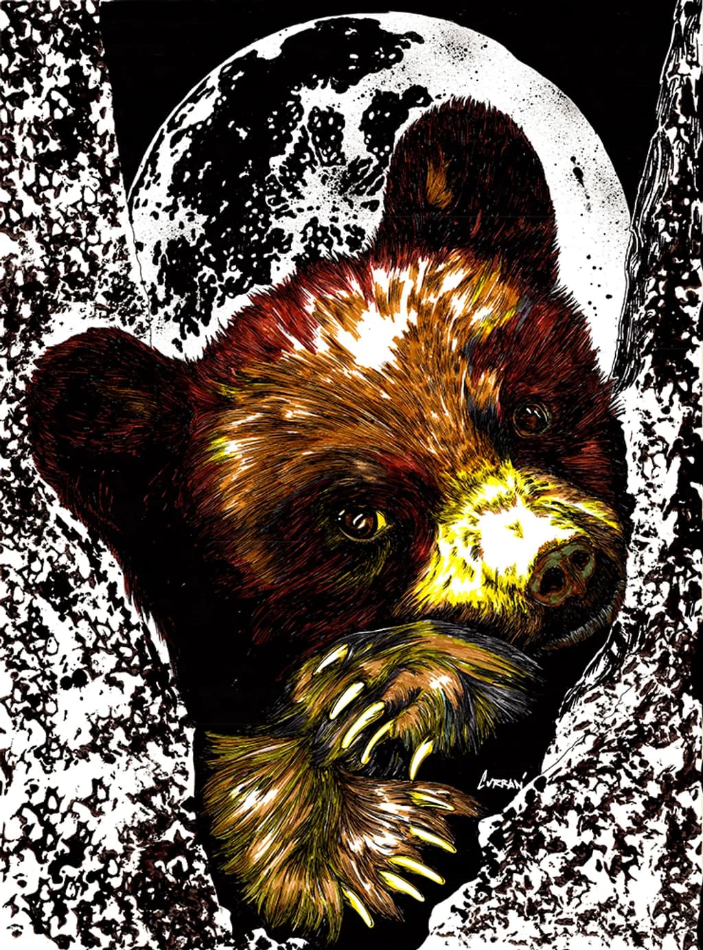 Bear Cub Moonlight