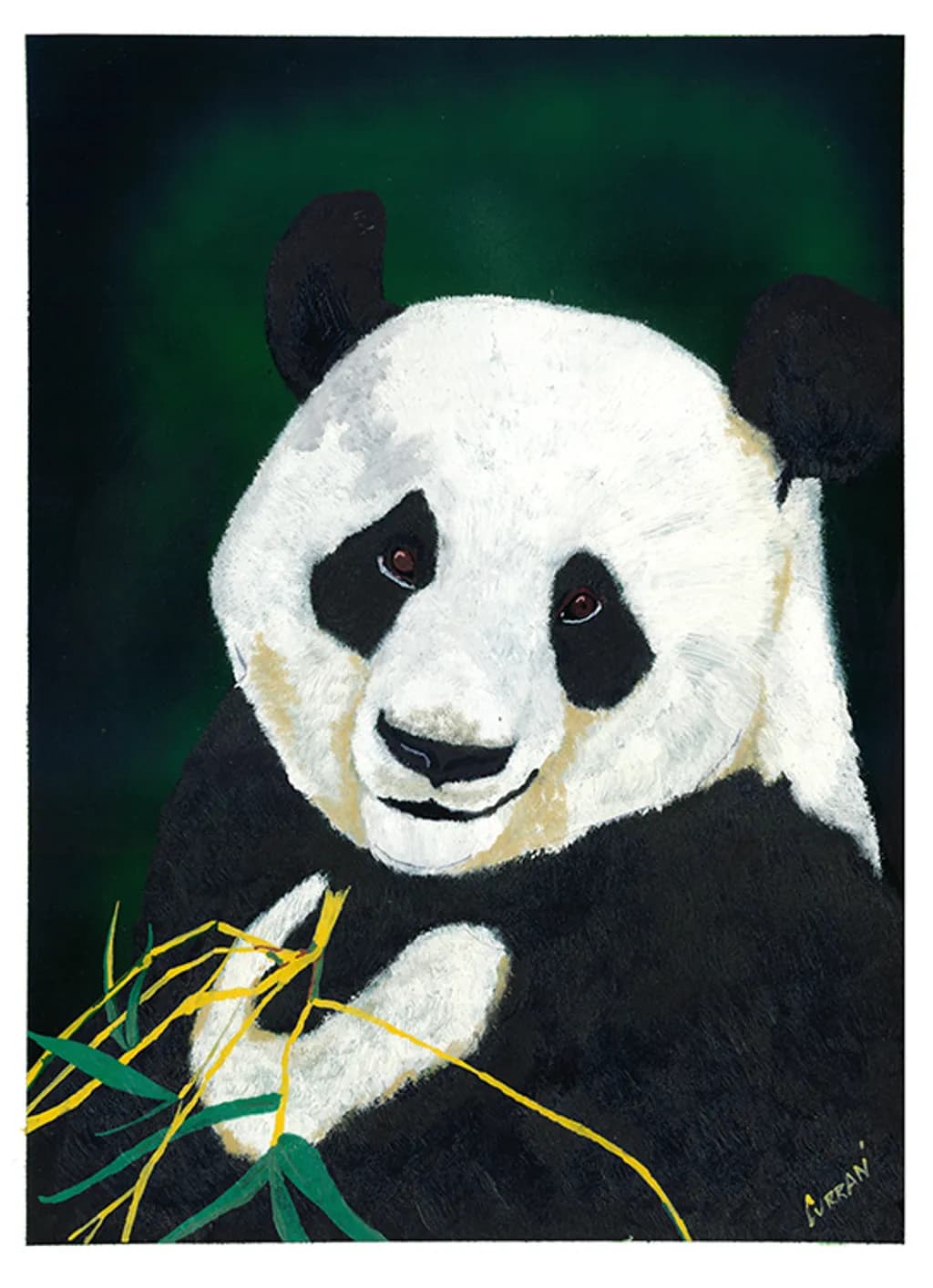 Giant Panda