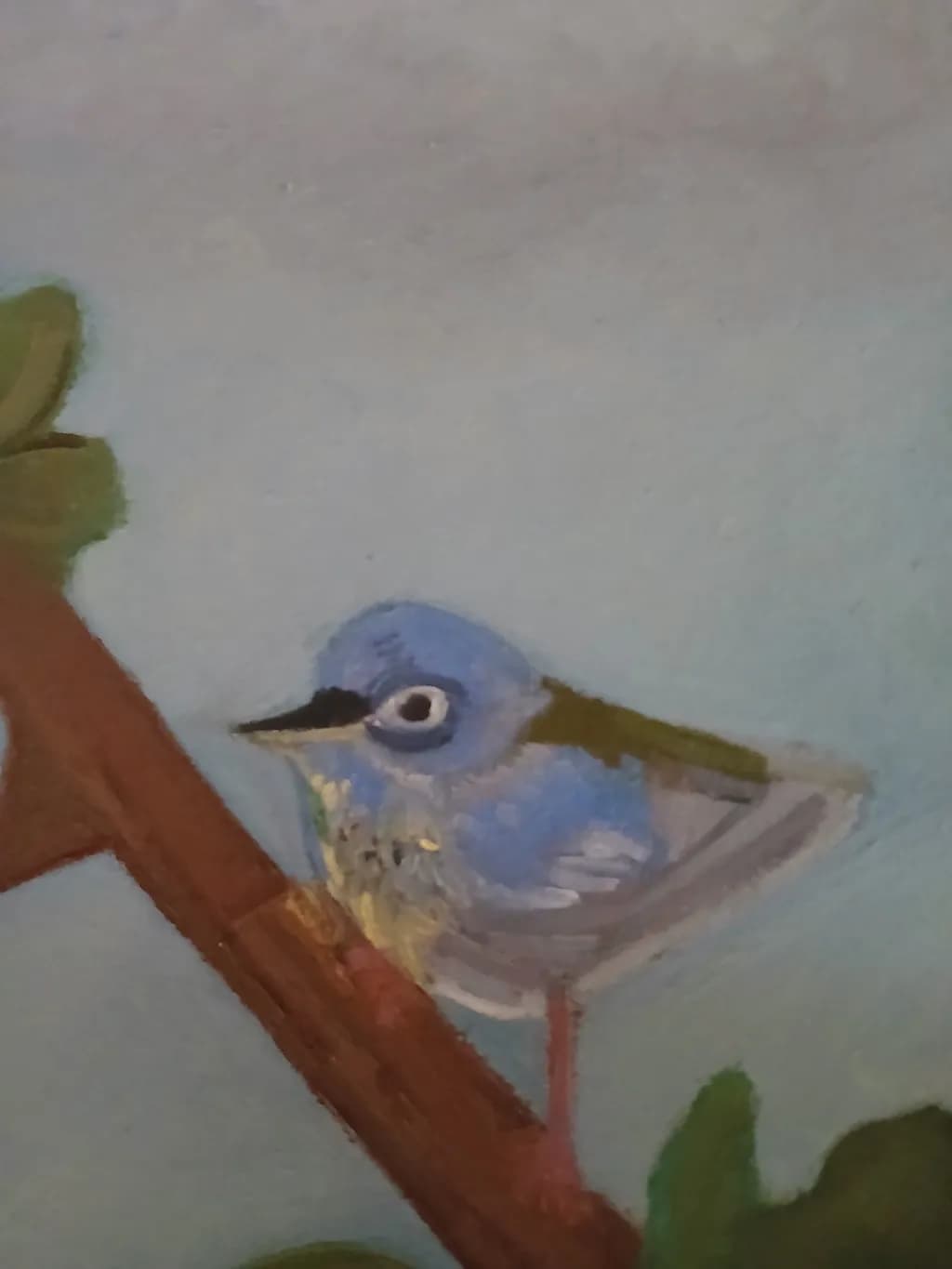 Blue Perch