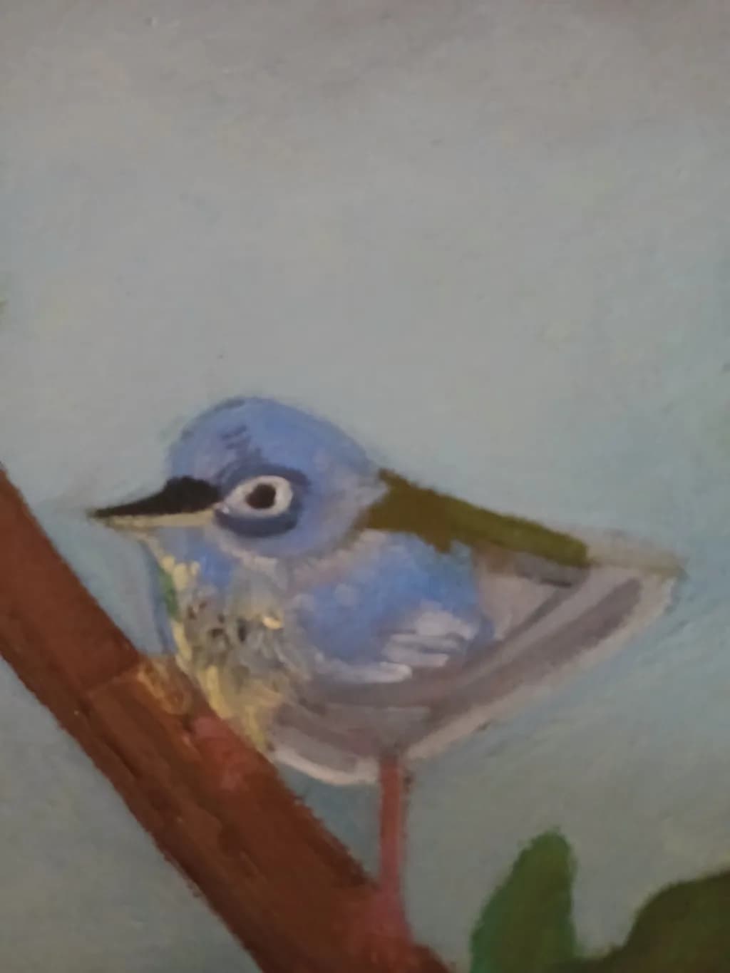 Blue Perch