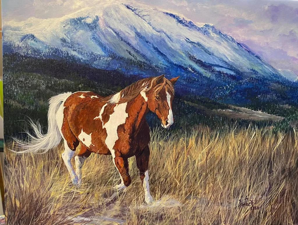 Mountain Meadow Stallion