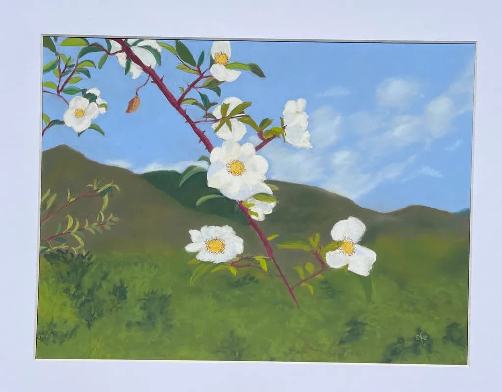 Mountain Bloom Branch