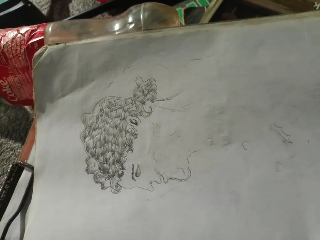 Curly Profile Sketch