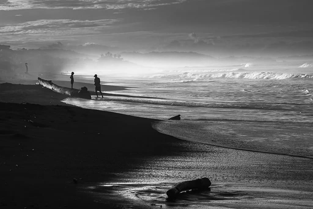 Coastal Shadows