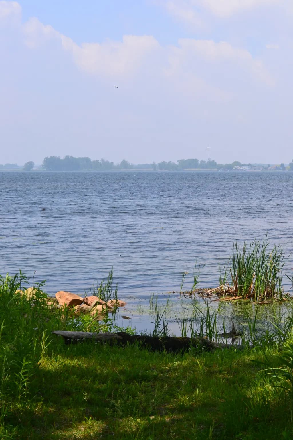 Lakeside Calm
