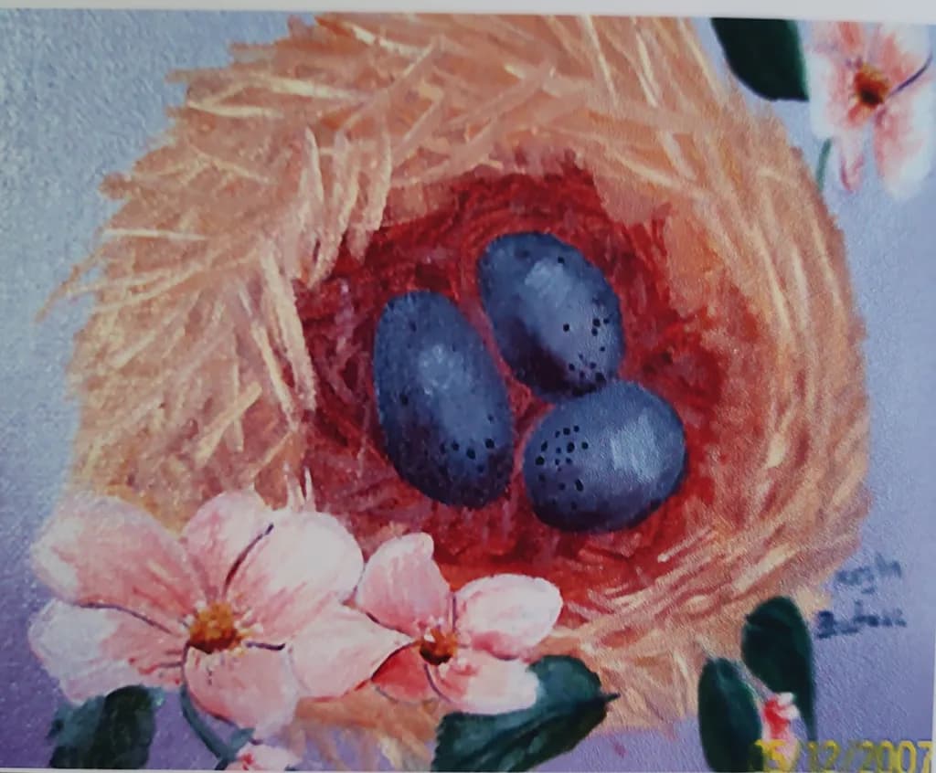Nest Sanctuary
