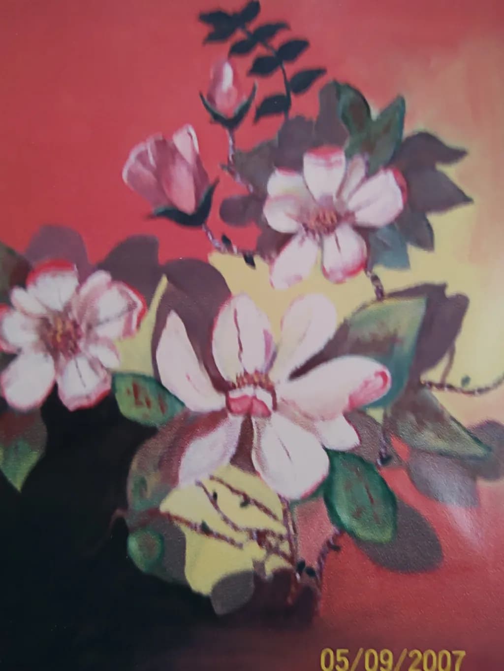 Blushed Blossoms