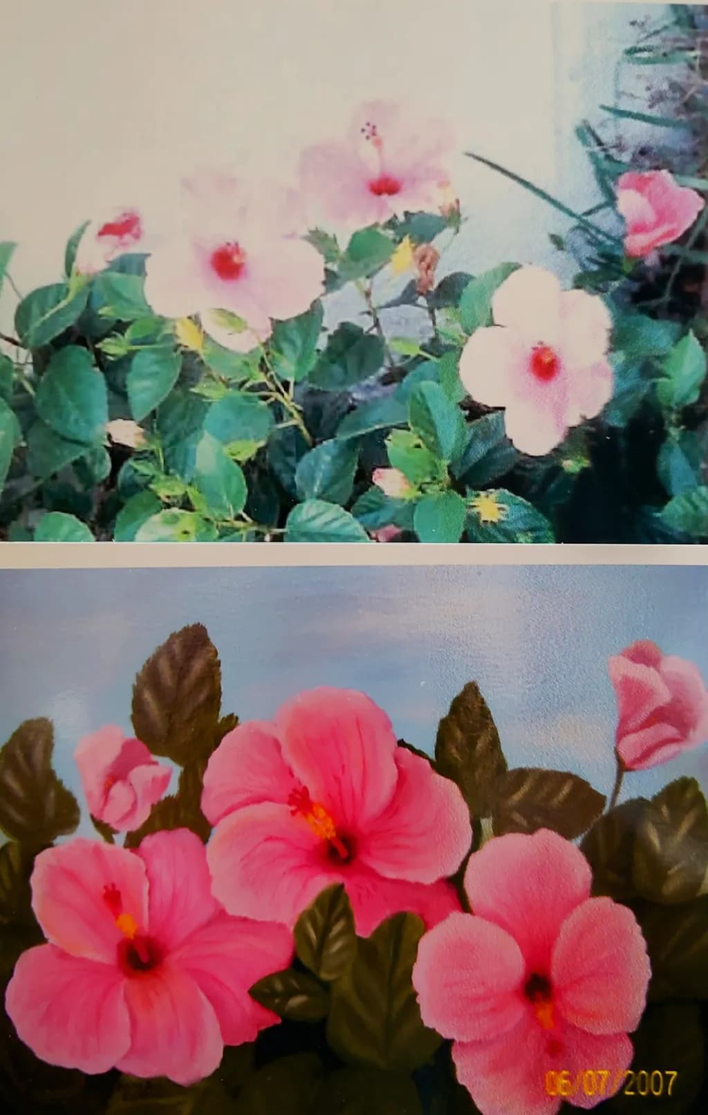 Dual Hibiscus Bloom