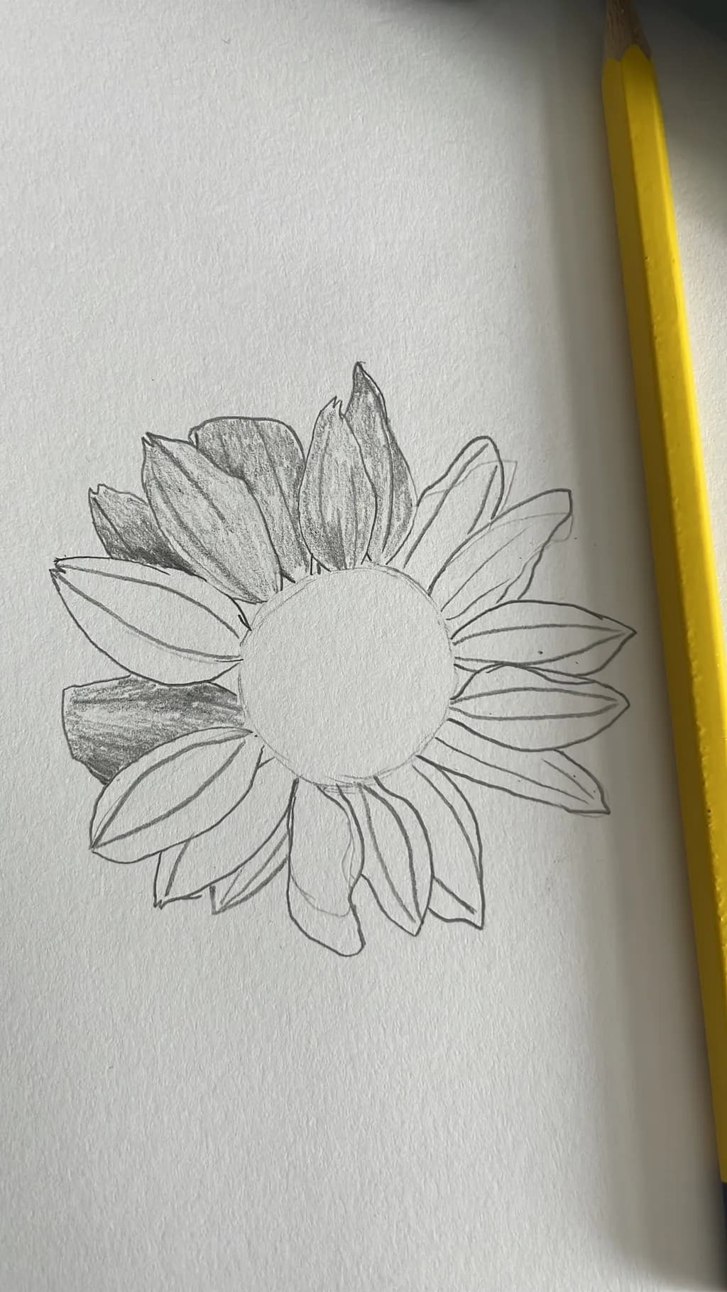 Sunflower Outline