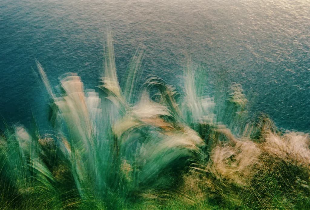 Waves of Grass