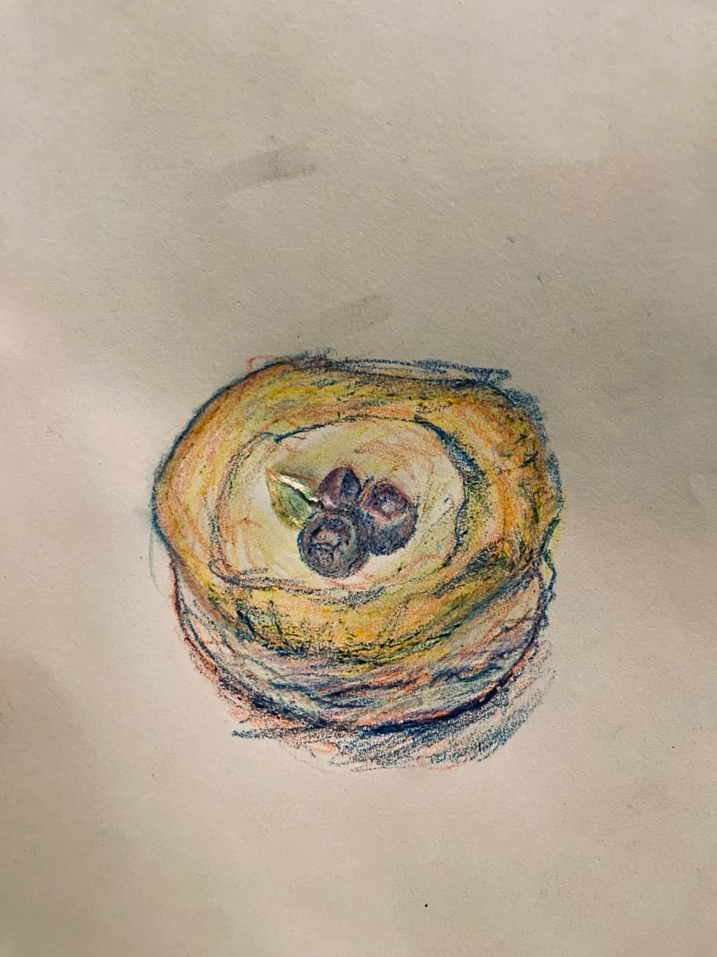 Blueberry Nest