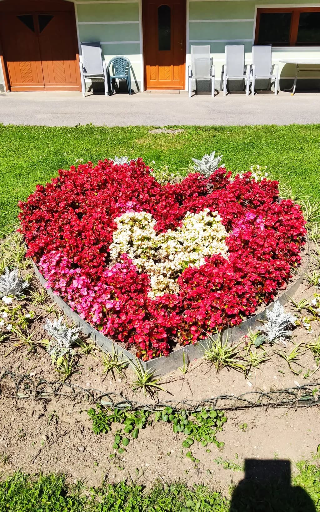 Heart of Blooms