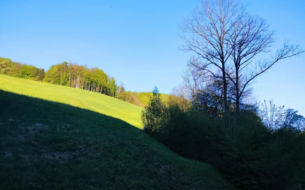 Sunlit Ridge Contrast