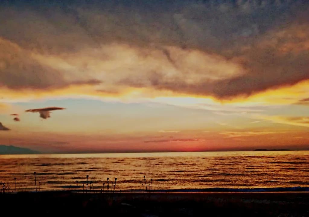 Dusk Horizon