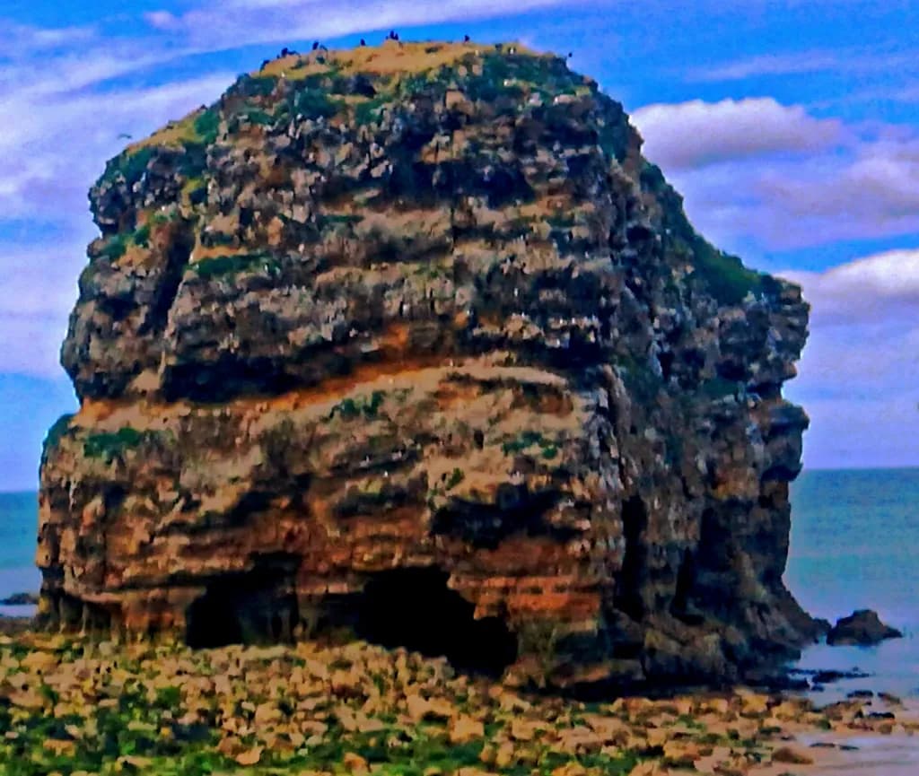 Coastal Outcrop