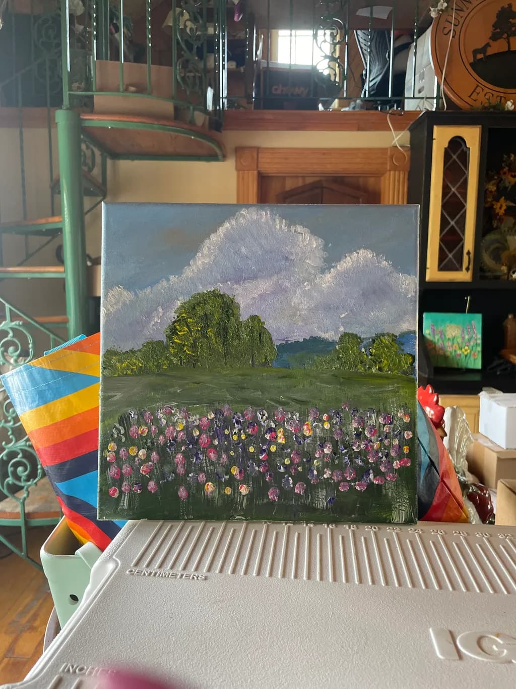 Cloudscape Meadow