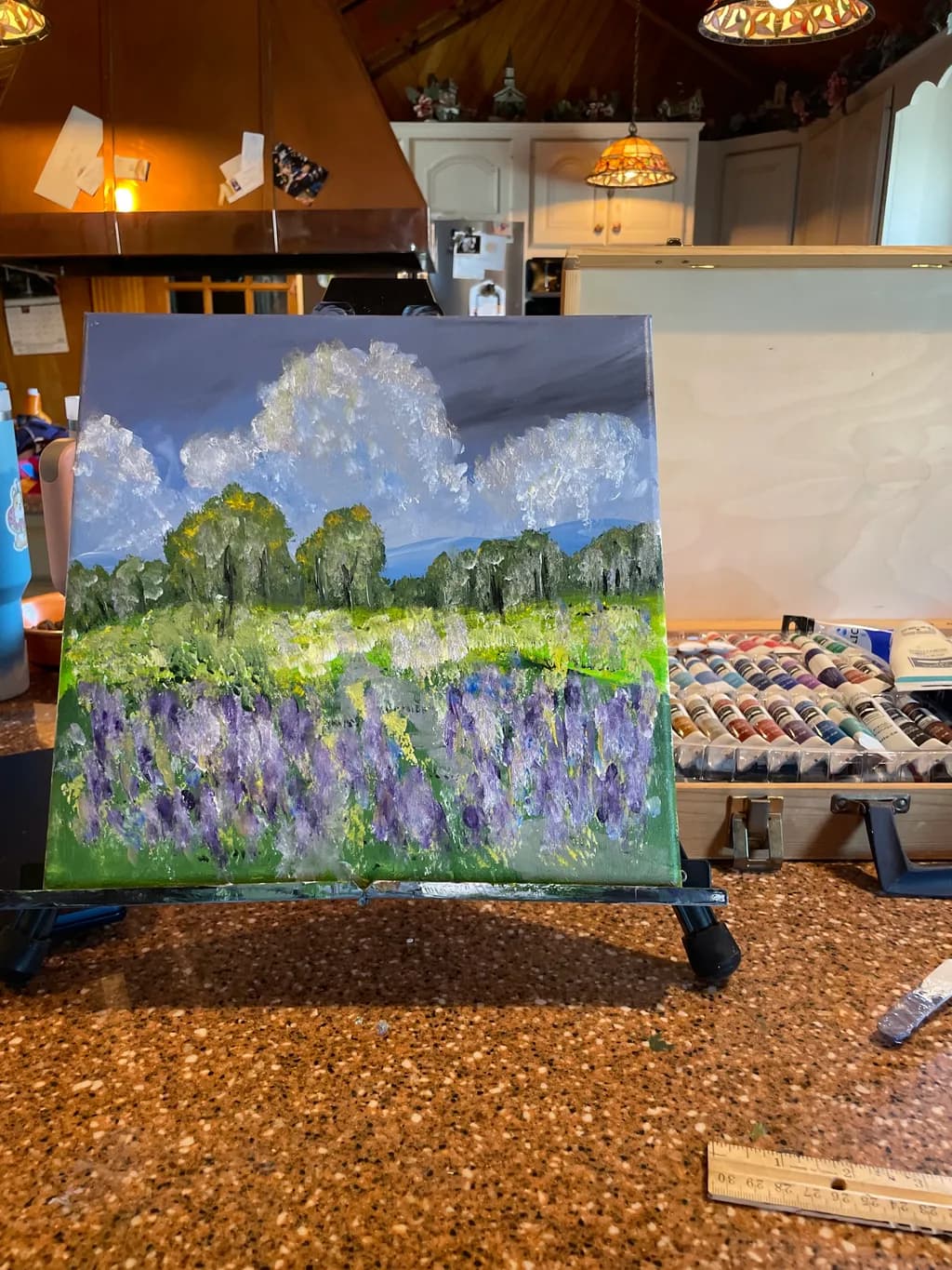 Lavender Fields Vista