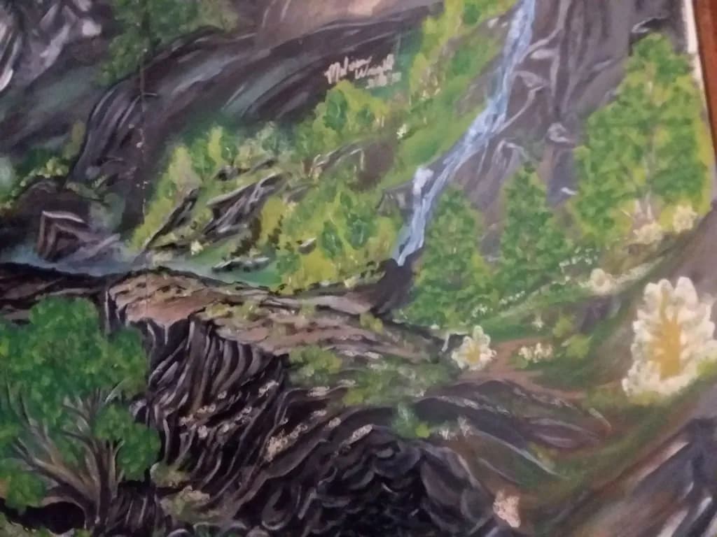 Forest Ravine