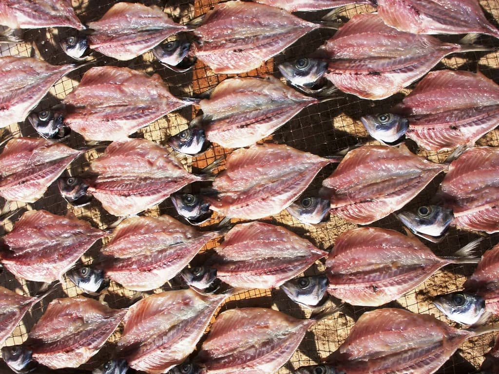 Drying Fish