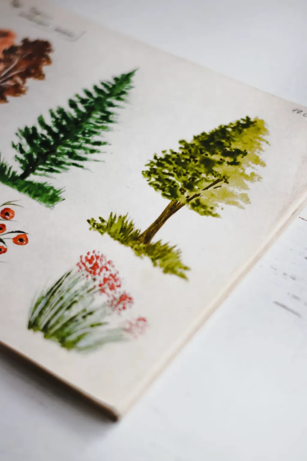 Botanical Study