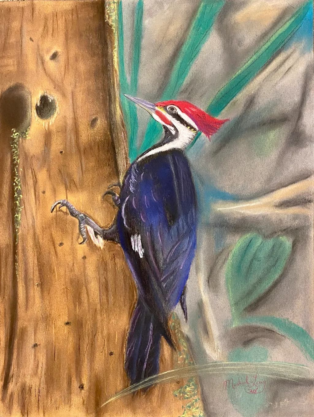 Pileated Perch