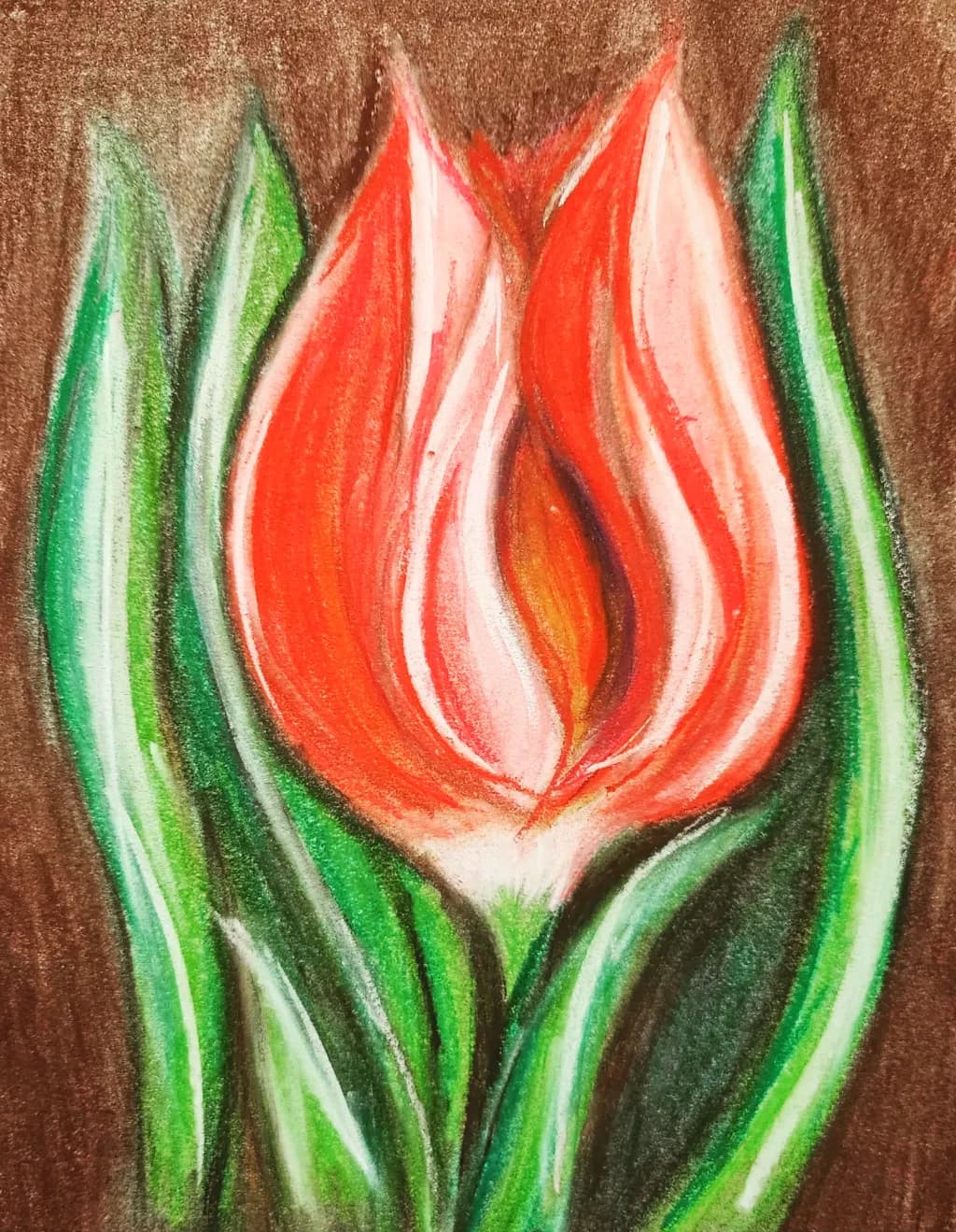 Flaming Tulip