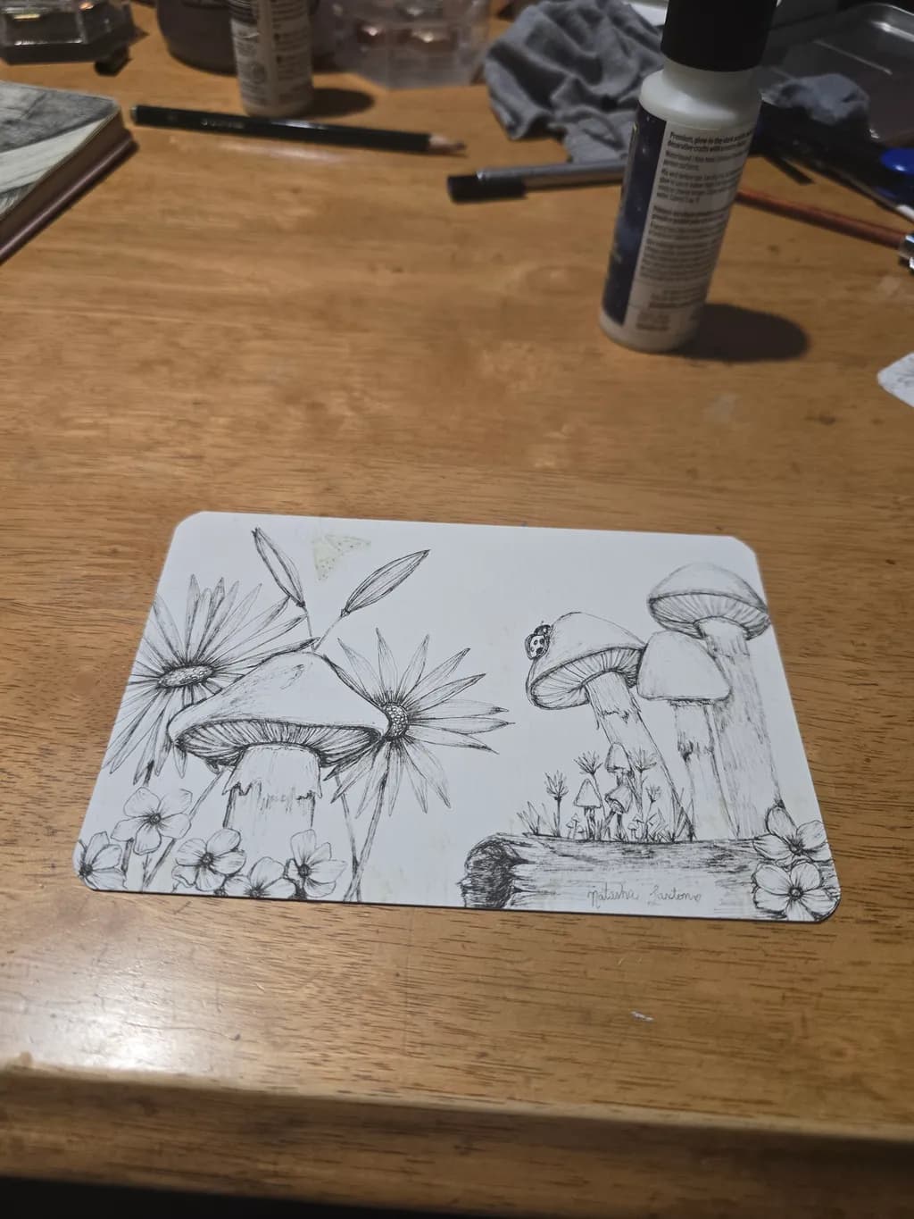 Mushroom Meadow