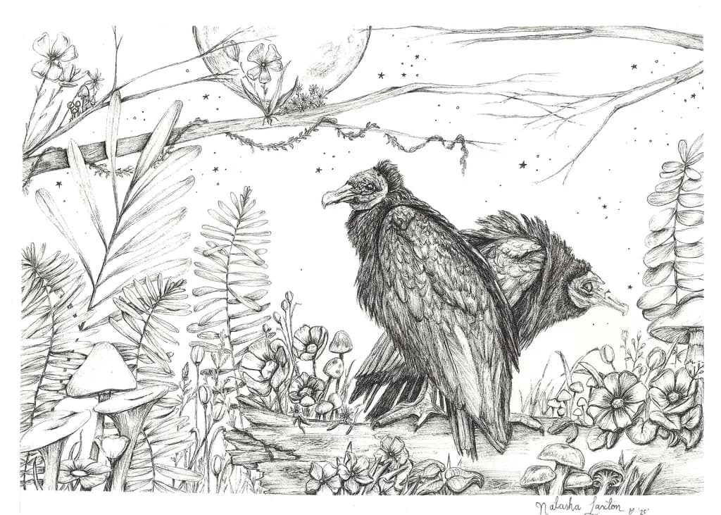 Midnight Vultures
