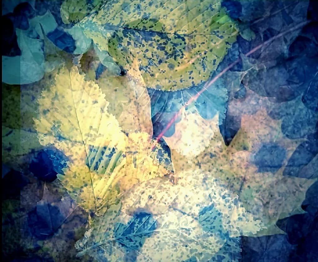 Flecked Autumn Layers