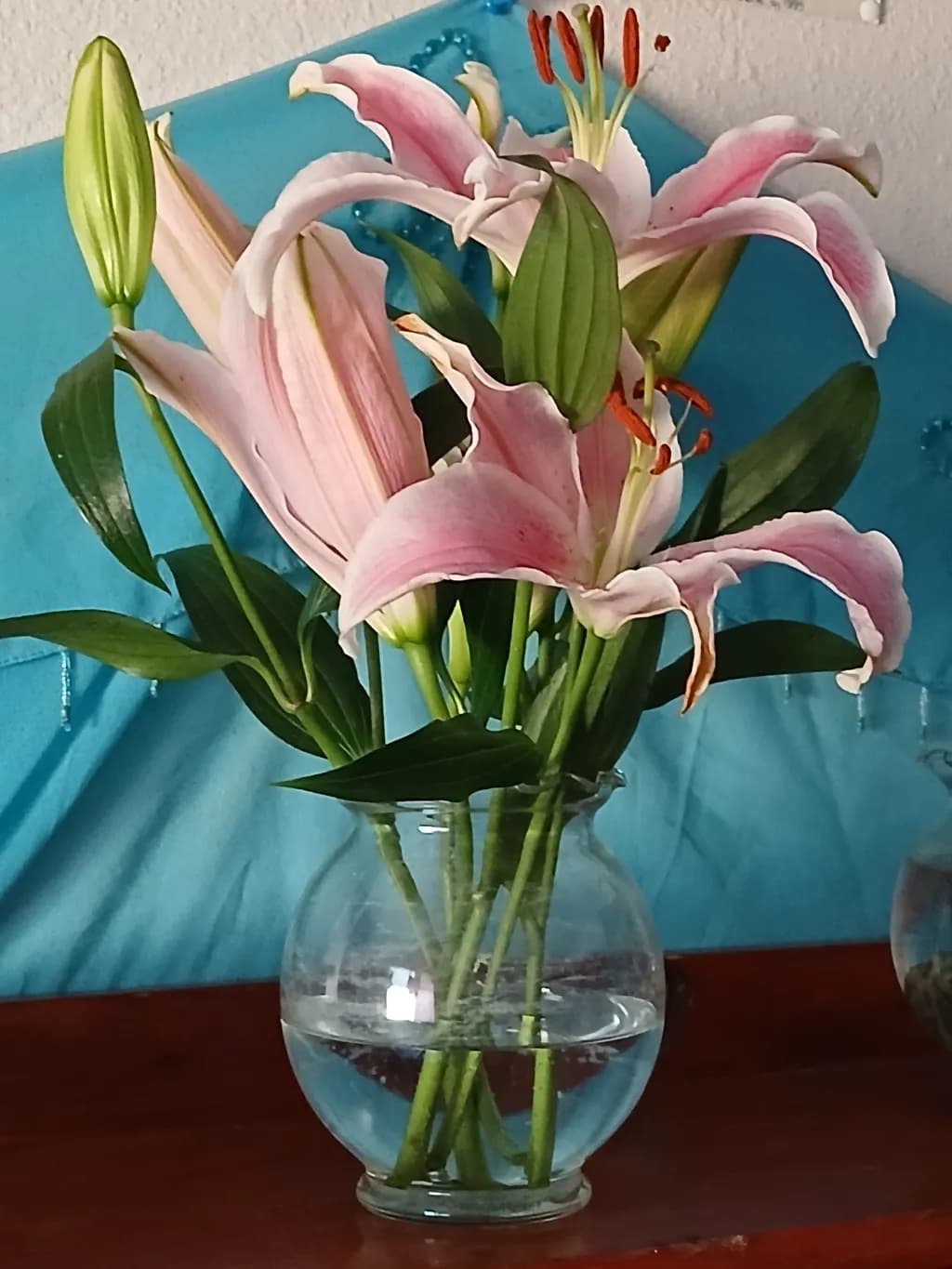 Pink Stargazer Lilies