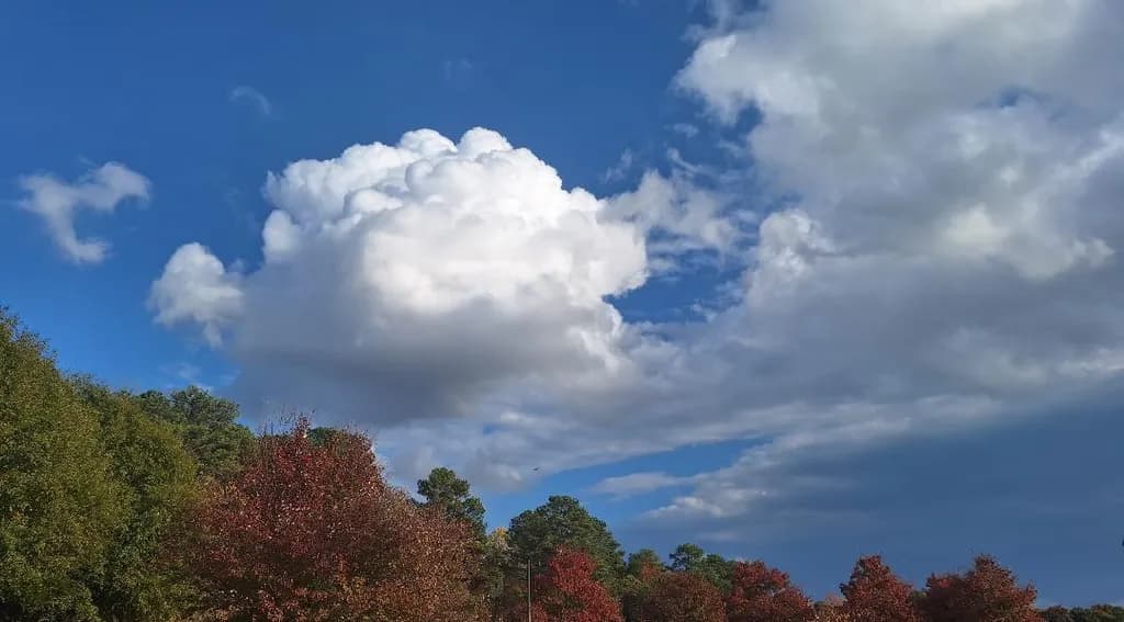 Autumn Skyscape