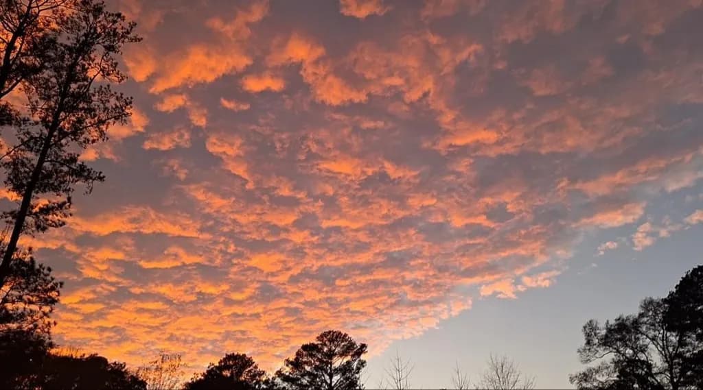 Blazing Dusk