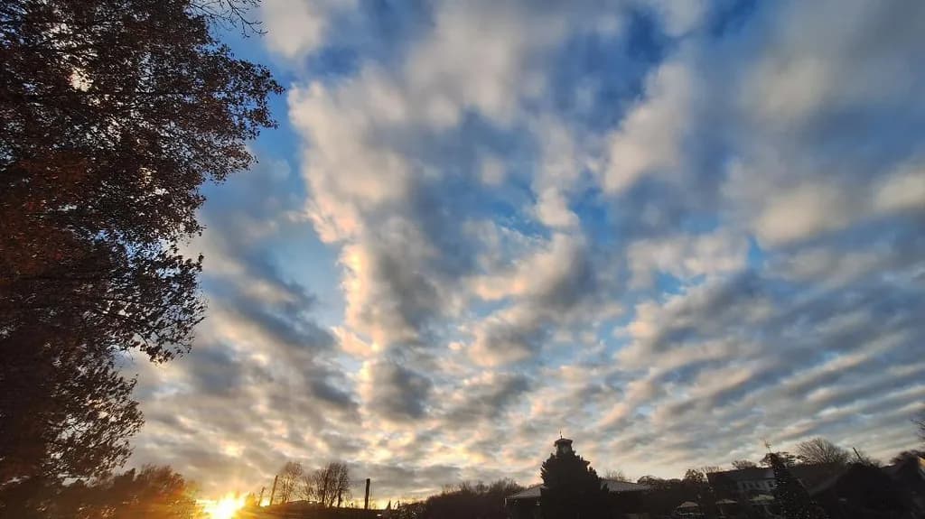 Sunburst Horizon