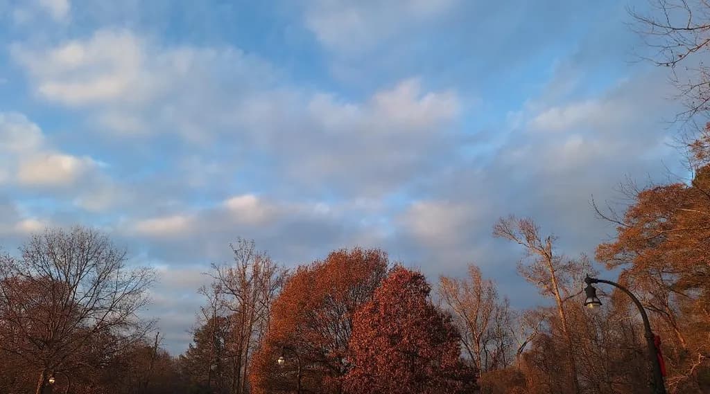 Autumn Glow