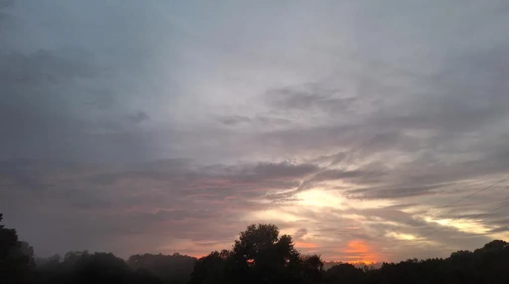 Dusk Veil