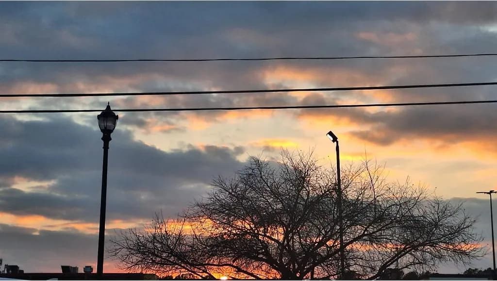 Dusk Silhouettes