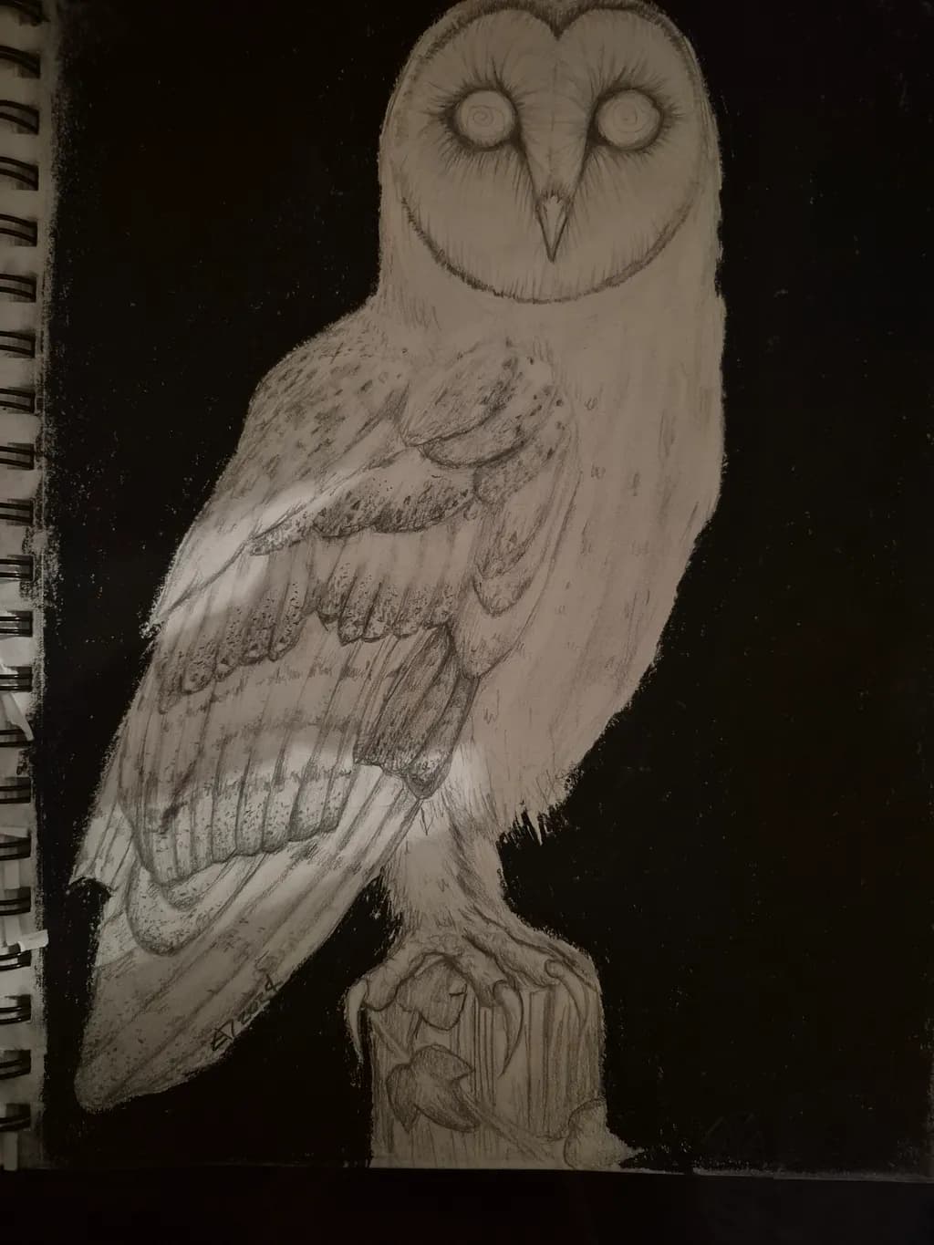Silent Sentinel